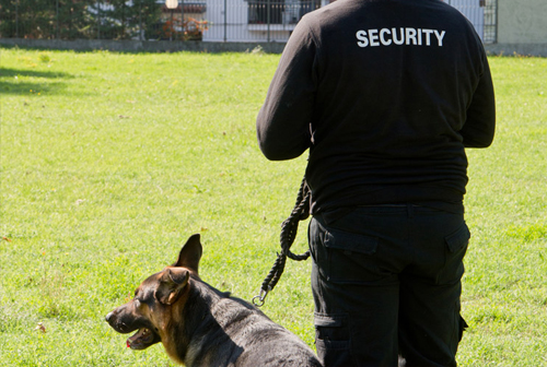 AGENT DE GARDIENNAGE société de gardiennage à agen société de gardiennage à Agen agent gardiennage